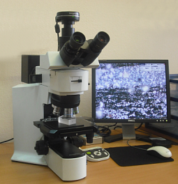 Optical microscope Olympus BX51M