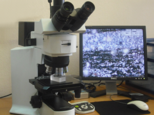 Optical microscope Olympus BX51M